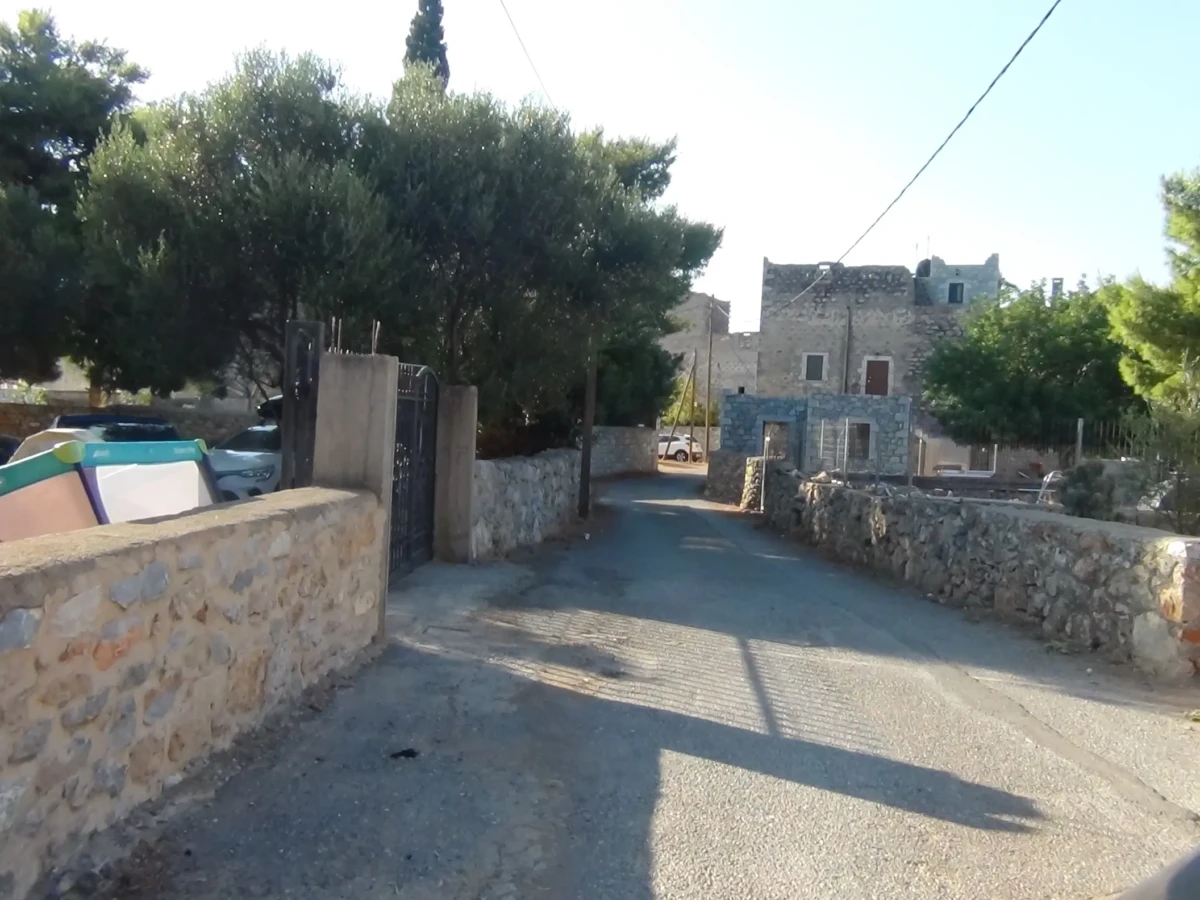 DSC00817