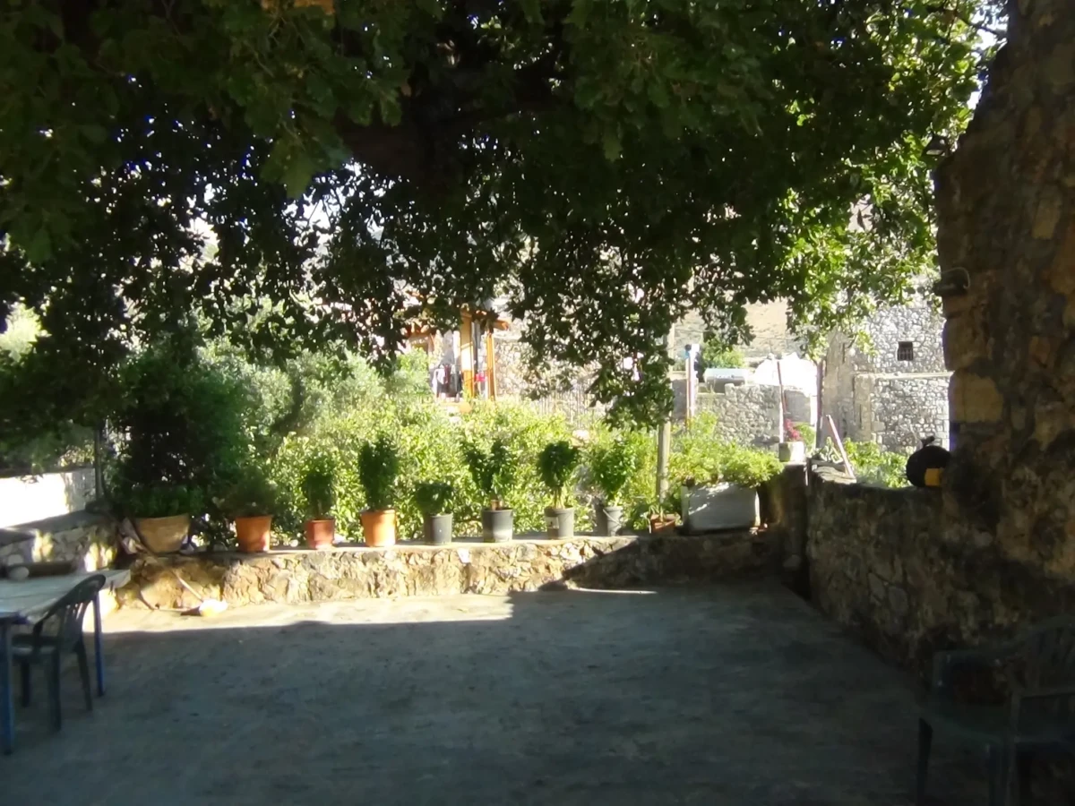 DSC00879