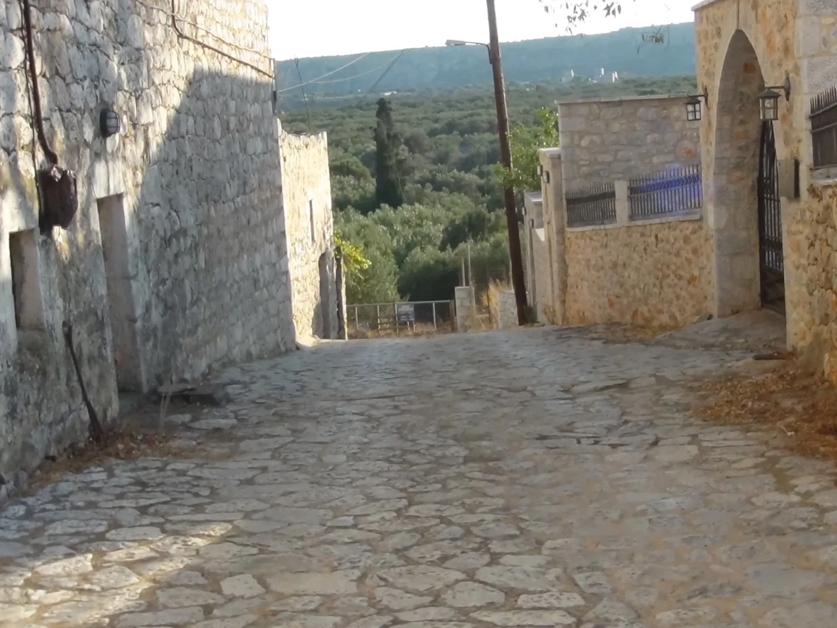 DSC00907