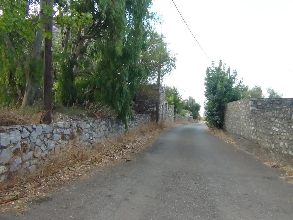 DSC00925