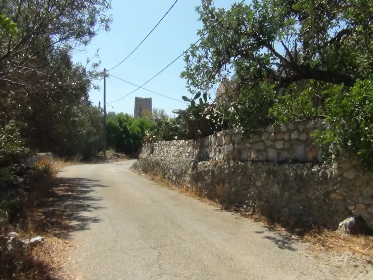 DSC01062