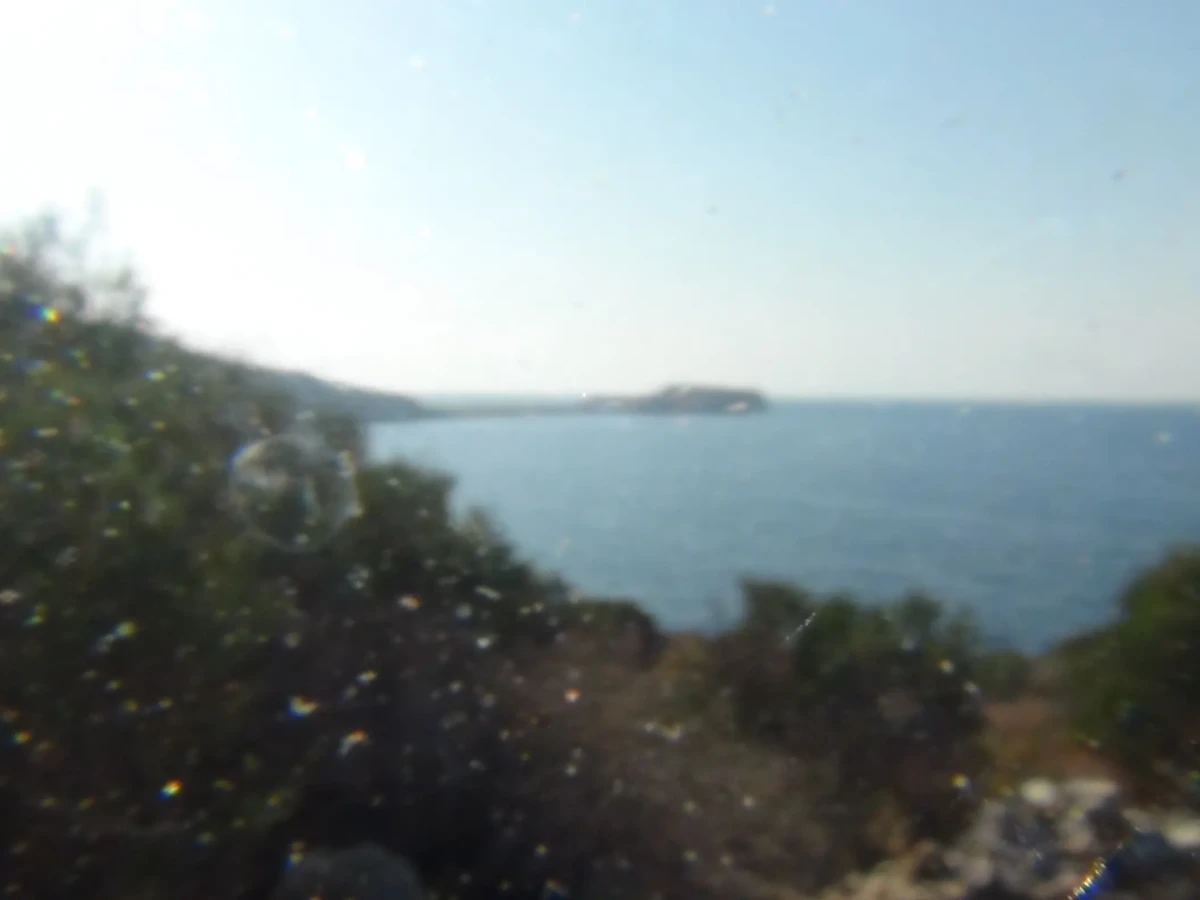 DSC01168