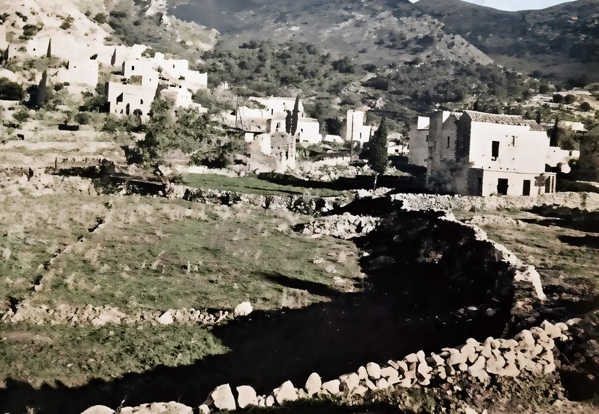 kavalos