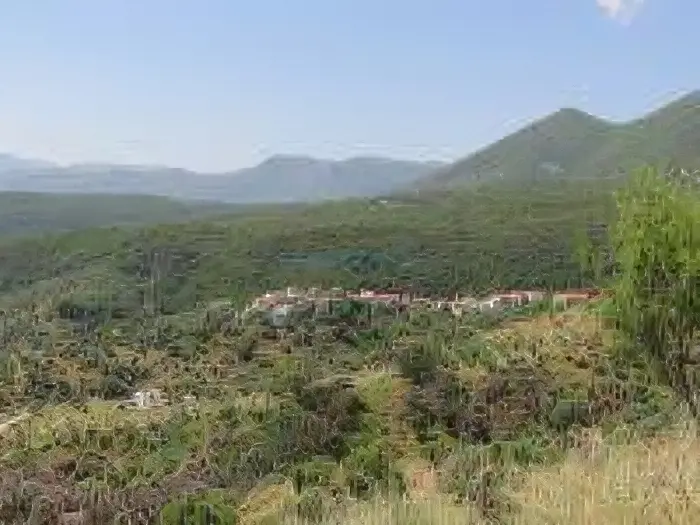 Κρήνη (Παλοβα)