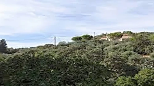 Κρήνη (Πάλοβα): Η ησυχία της πέτρας στην Κάτω Μάνη.