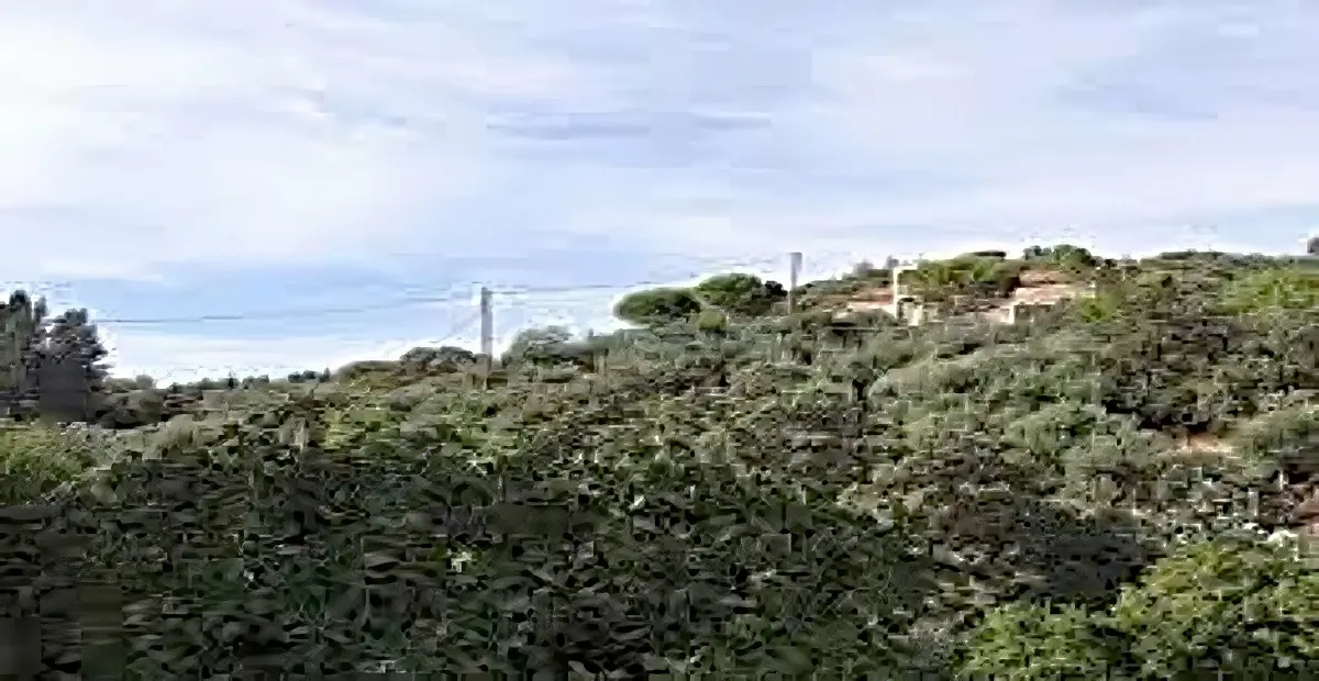 Κρήνη (Παλοβα)