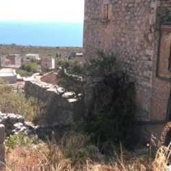Ο Θεσμός της Σύγκριας