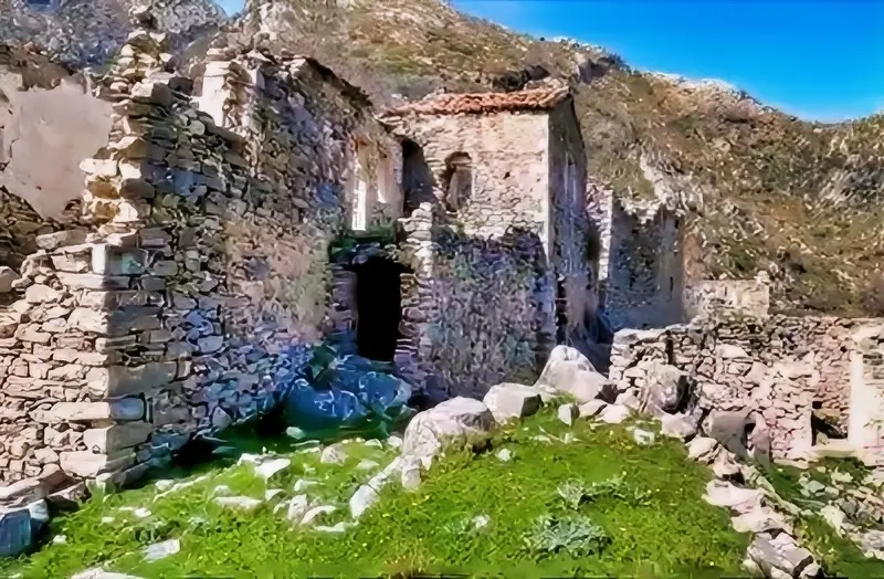 poliaravos (9)