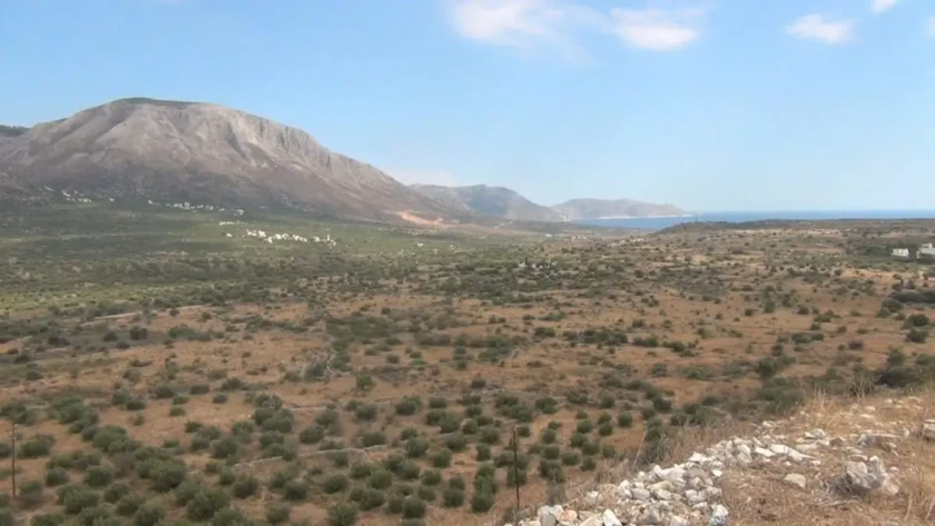 Μάνη φωτό από Ελια