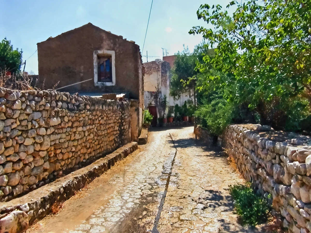 xaria 10