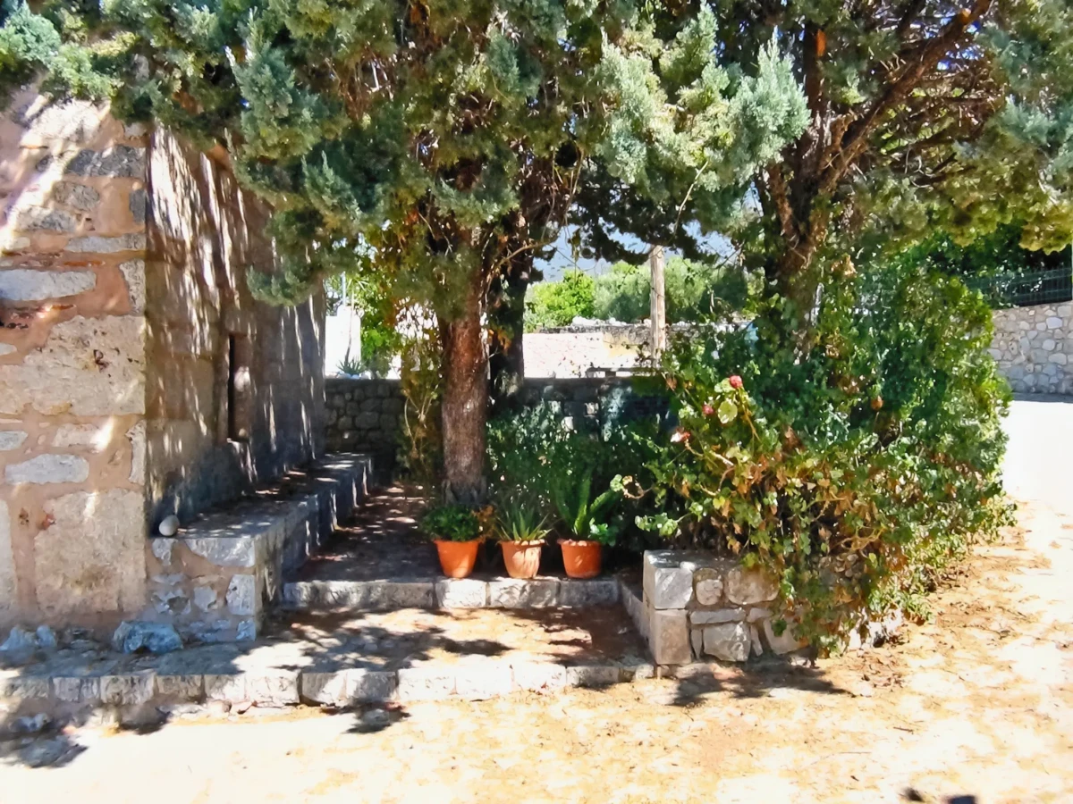 xaria 5