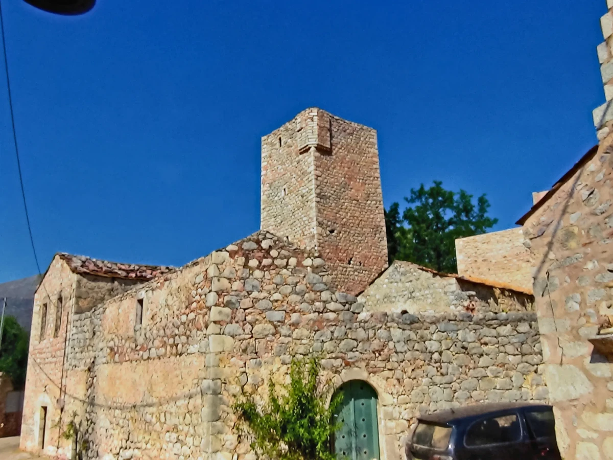xaria 6