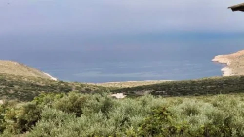 Περί καθαρισμού οικοπ΄έδων