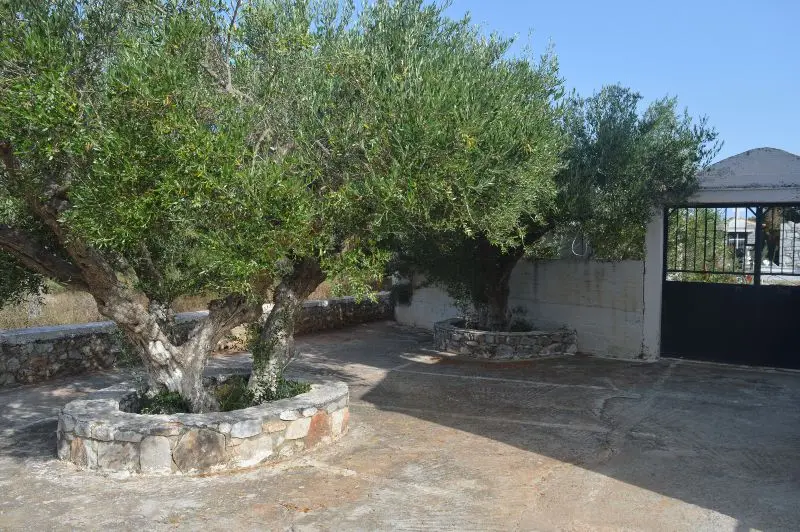 agios polikarpos 6
