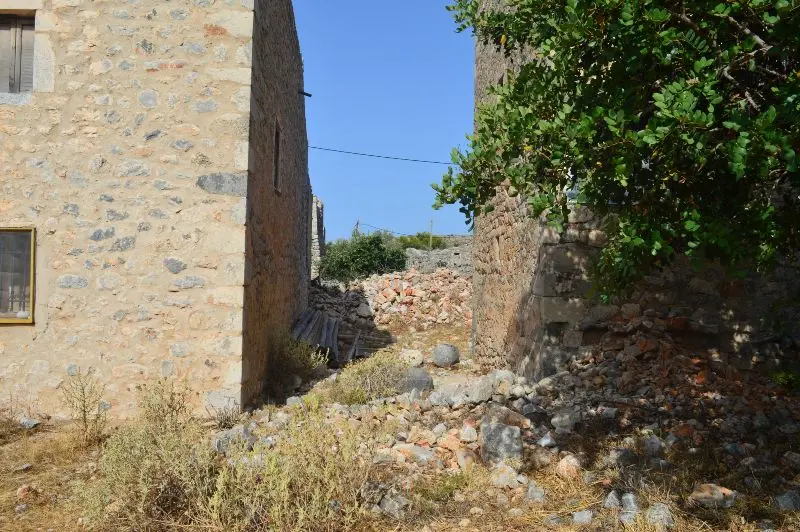 kexrianika 2