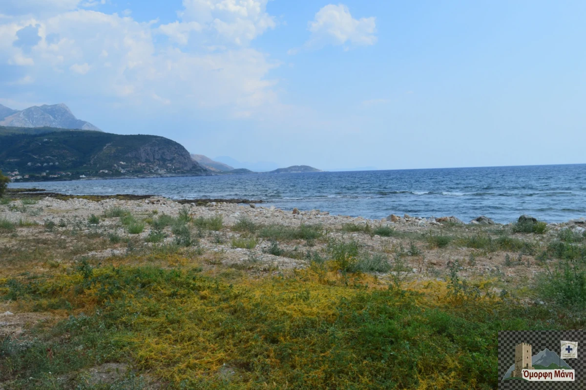 Άγιος Δημήτριος Μάνη 5