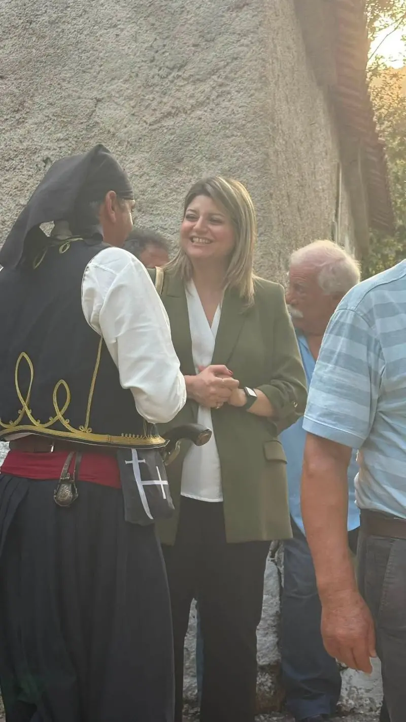 Δεσφίνα 4