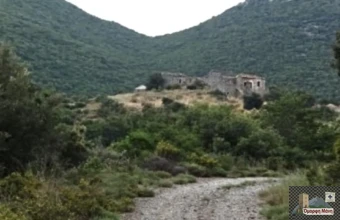 Δεσφίνα