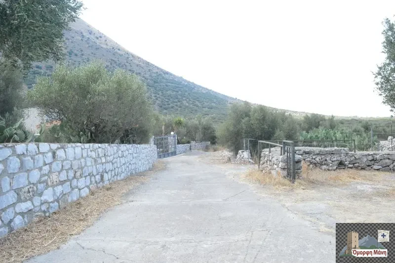 Γαρδενίτσα 11