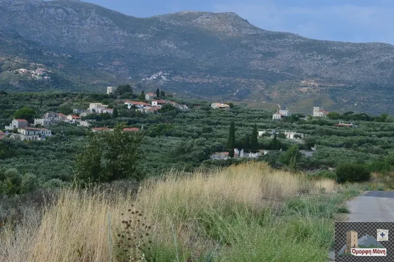 Κελεφά 3