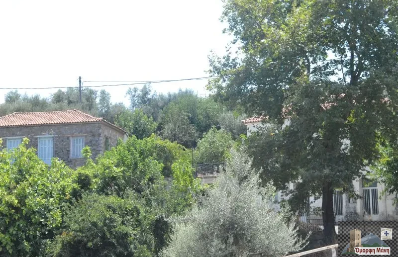 Μελιτίνη 13