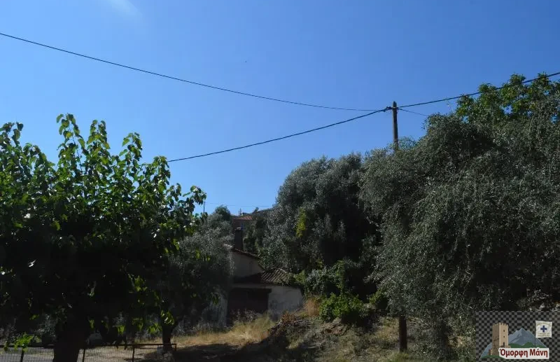 Μελιτίνη 2