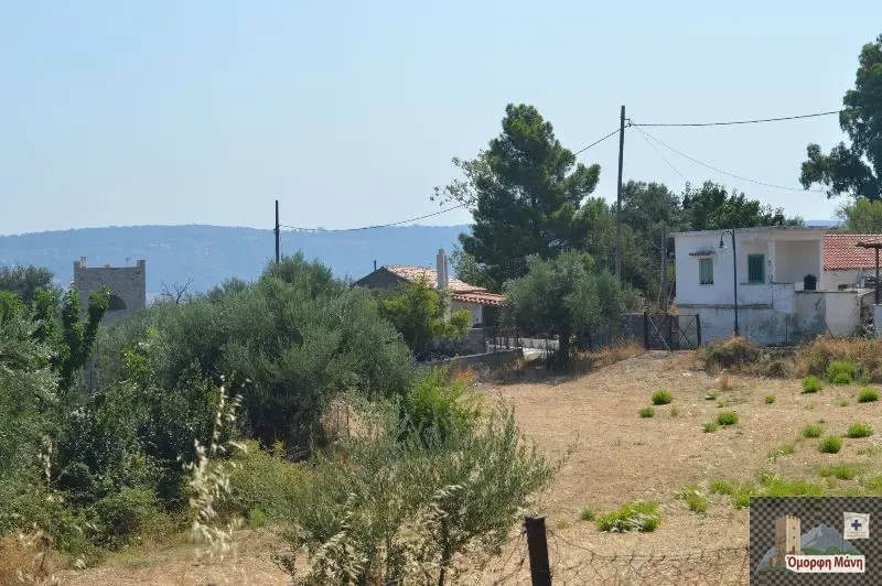 Μυρσίνη 1