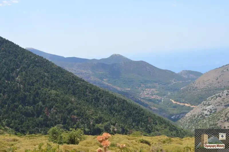 Παναγία Γιάτρισσα 1
