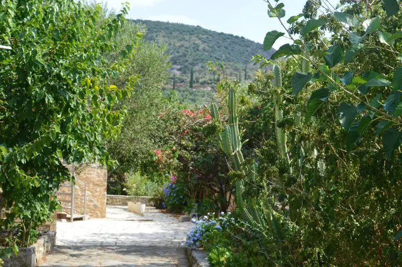 paralia fonea