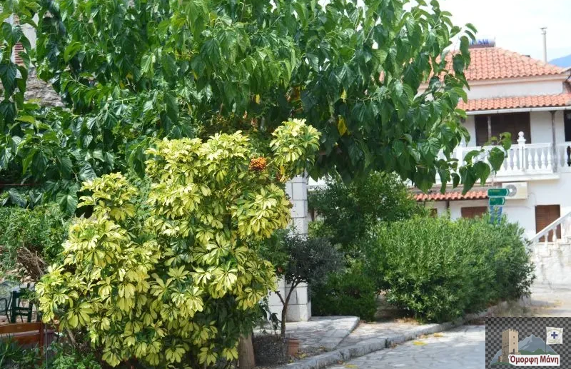 Πλάτσα 7