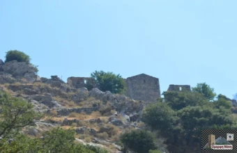 Πολυάραβος