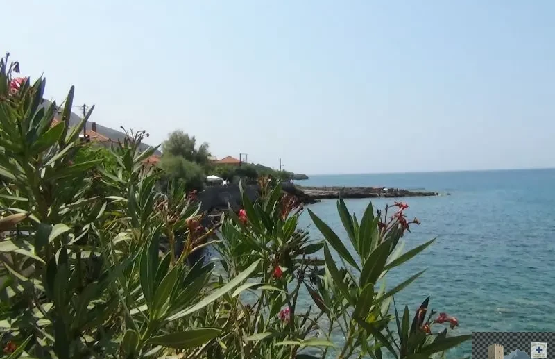 Τραχήλα 1