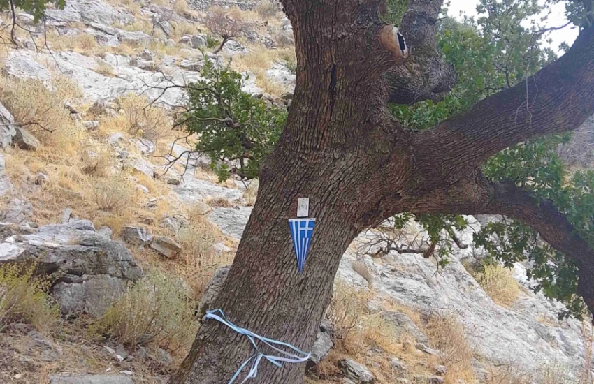 1. Σήμανση Βελανιδιάς Πολυαράβου