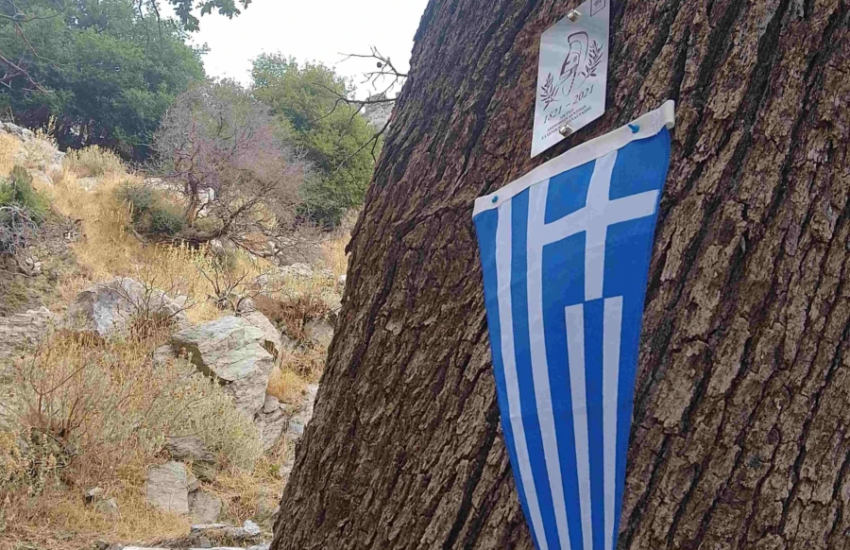 2. Σήμα Ιερής Βελανιδιάς
