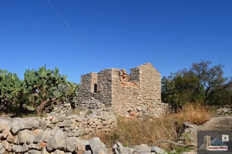 Φθείο Μάνη
