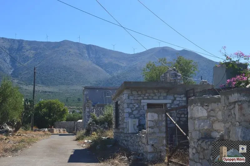 Φθείο Μάνη2