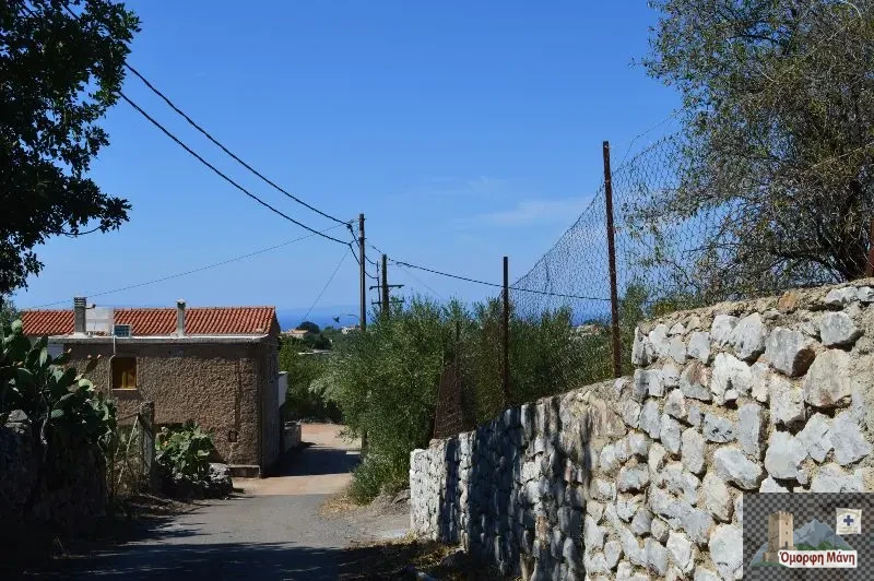 Γκλέζος Μάνης 3