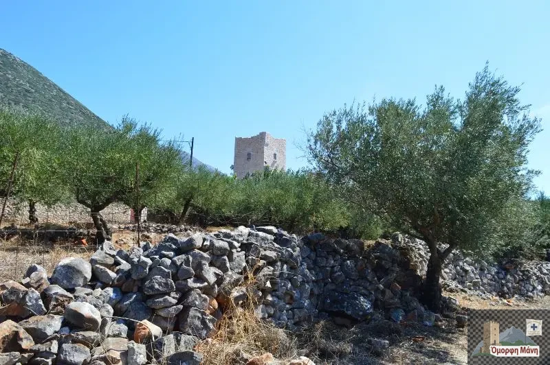 Γκλέζος Μάνης 4