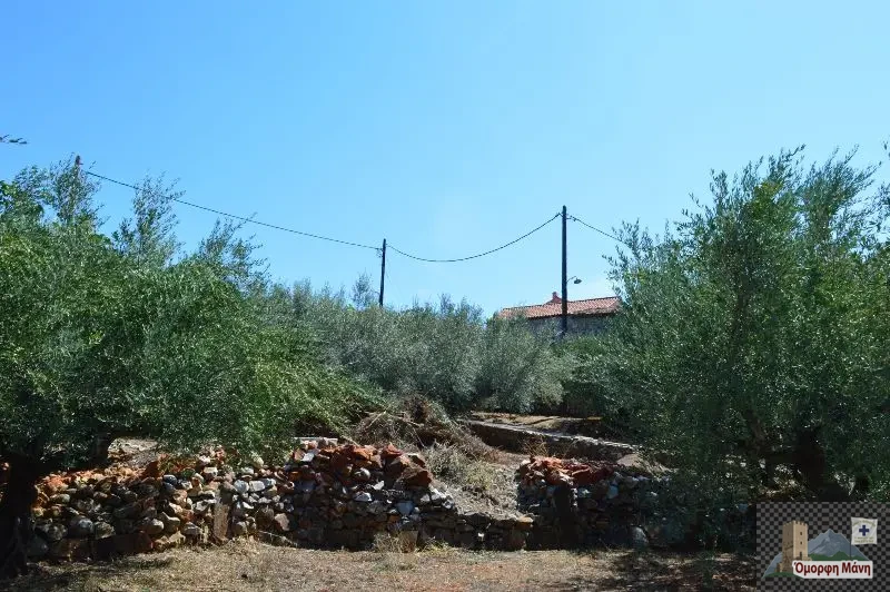 Γκλέζος Μάνης 5