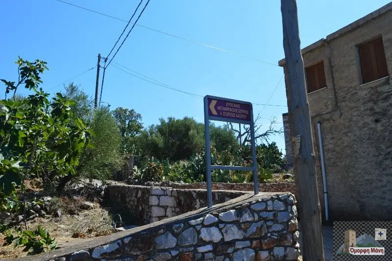 Γκλέζος Μάνης 6