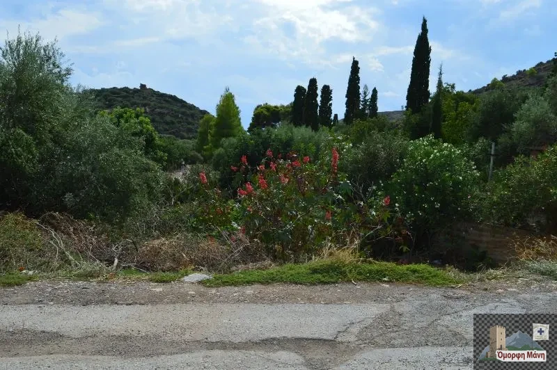 Kυπάρρισος 10