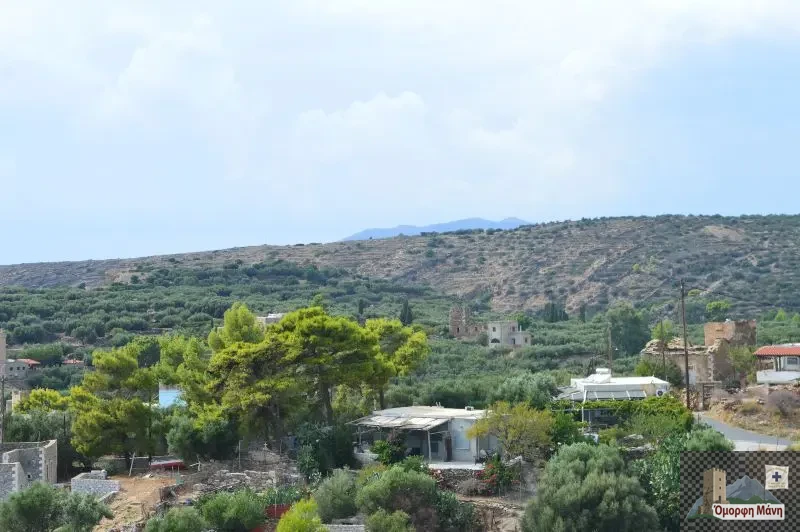 Kυπάρρισος 6