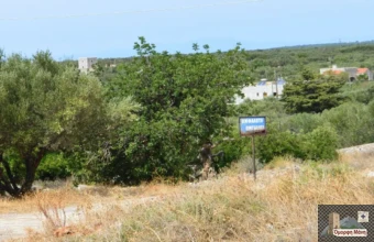 Ομφαλωτή Μάνης