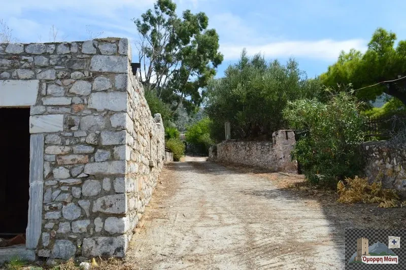 Ομφαλωτή 4