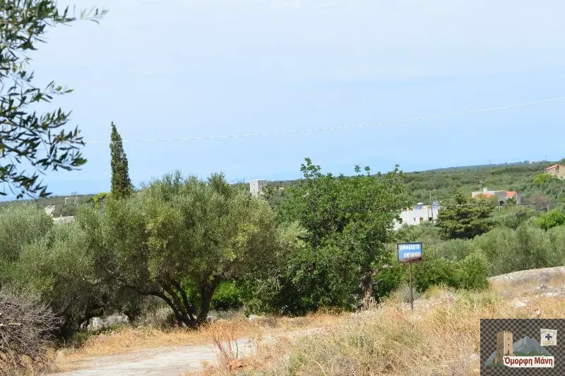 Ομφαλωτή