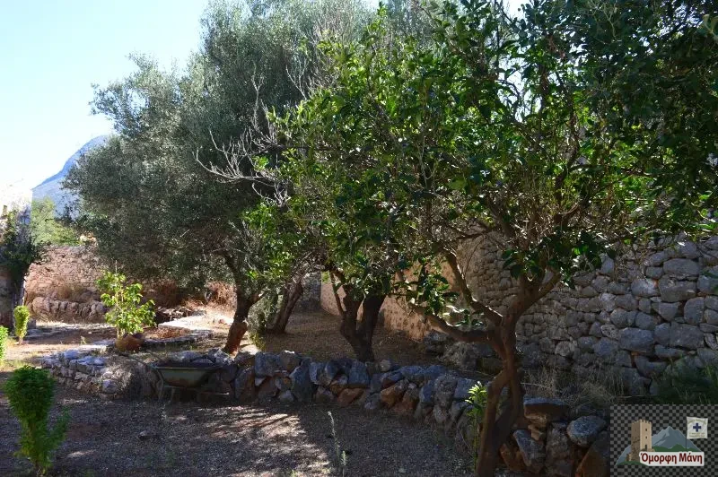 Πύργος Καπετανάκου (6)