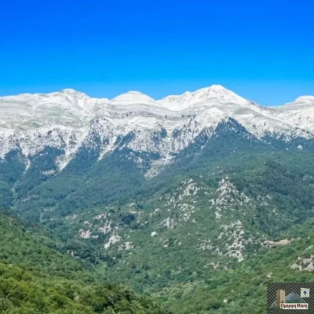 Ταΰγετος